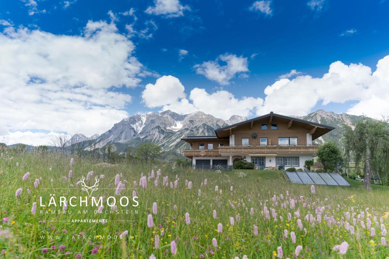 Laerchmoos * Ramsau am Dachstein