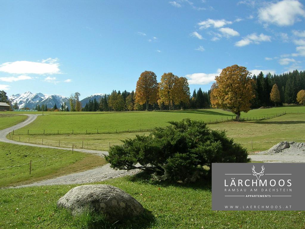 Apartament Laerchmoos *