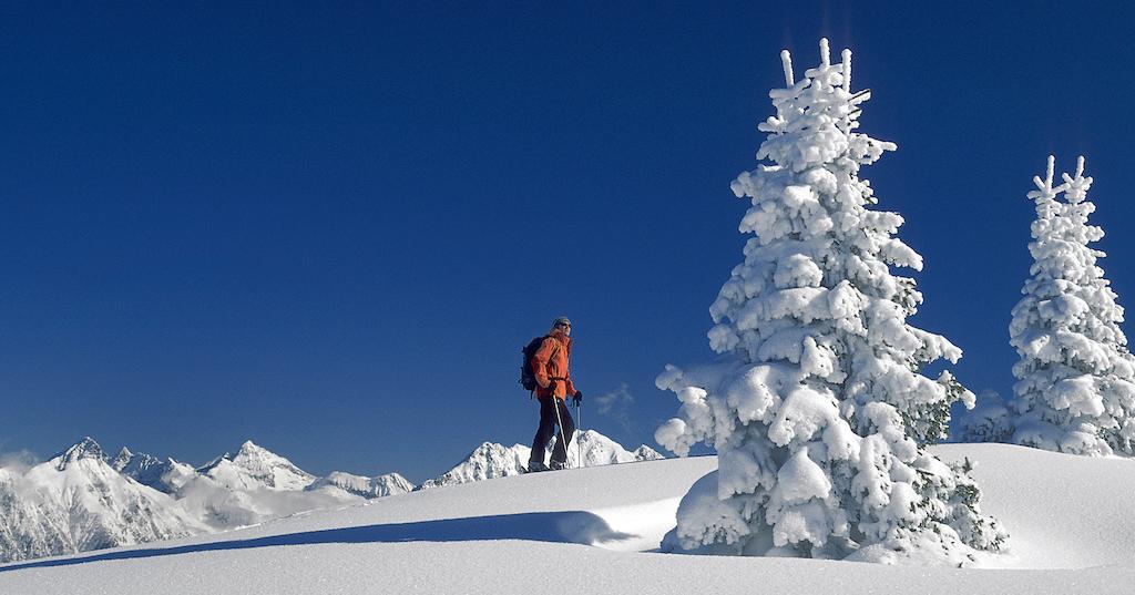 Laerchmoos Ramsau am Dachstein