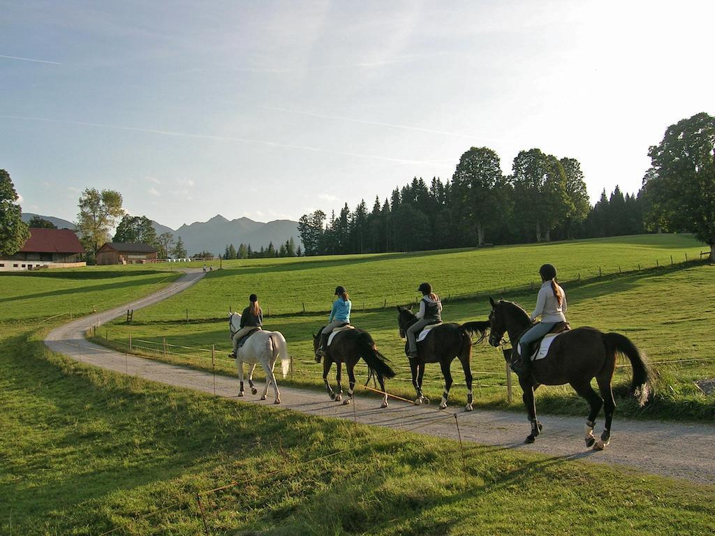 Laerchmoos Ramsau am Dachstein