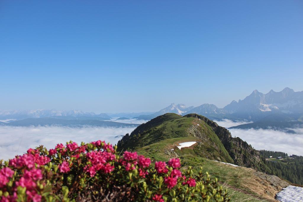 Laerchmoos Ramsau am Dachstein