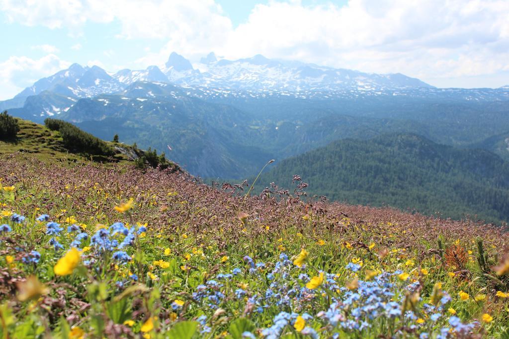 Apartment Laerchmoos Ramsau am Dachstein