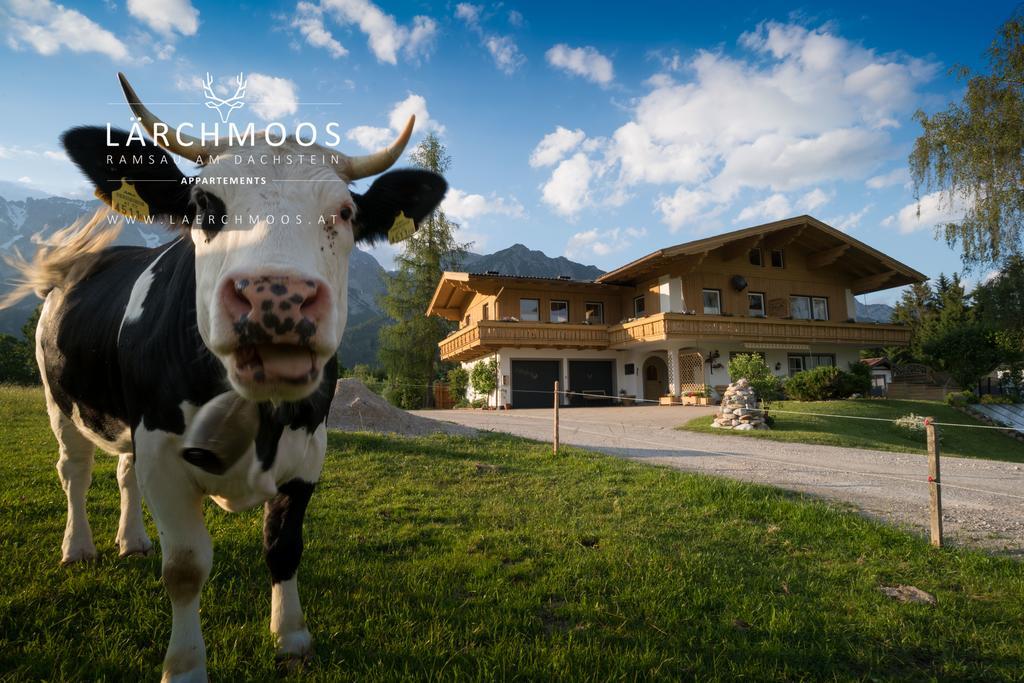 Laerchmoos Apartament