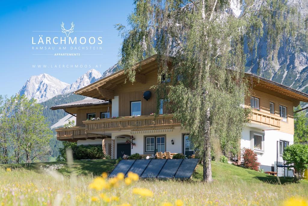 Laerchmoos *