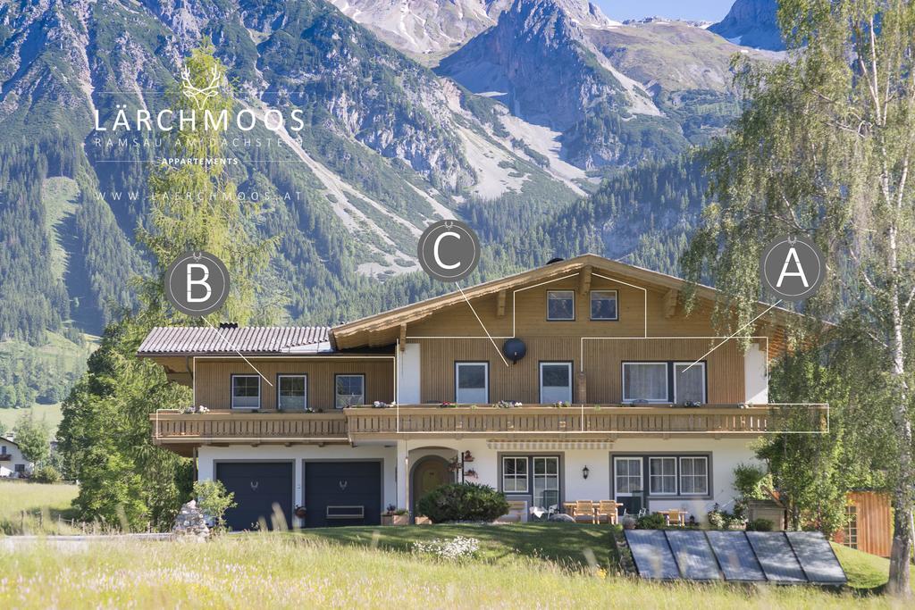 Apartment Laerchmoos Ramsau am Dachstein