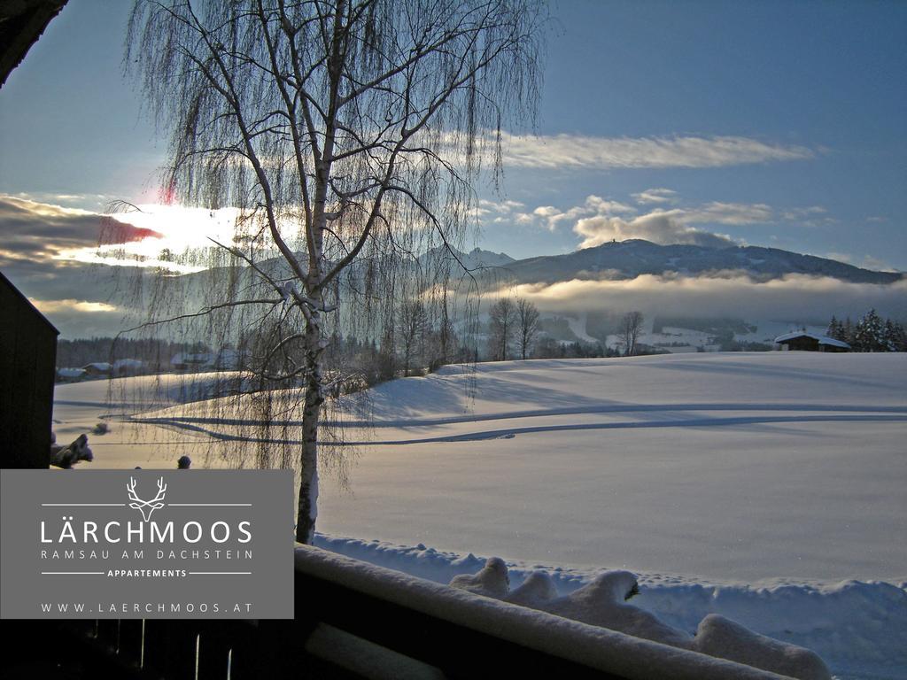 Laerchmoos Ramsau am Dachstein