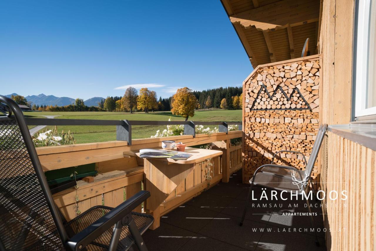 Laerchmoos Apartment Ramsau am Dachstein
